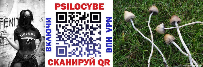 Псилоцибиновые грибы MAGIC MUSHROOMS Суворов